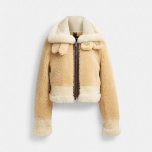 Geaca Dama COACH® All Over Shearling Shrunken Aviator Albi Colorati | ROJPM655