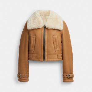 Palton Dama COACH® Cropped Shearling Aviator Maro Colorati | ROLIU690